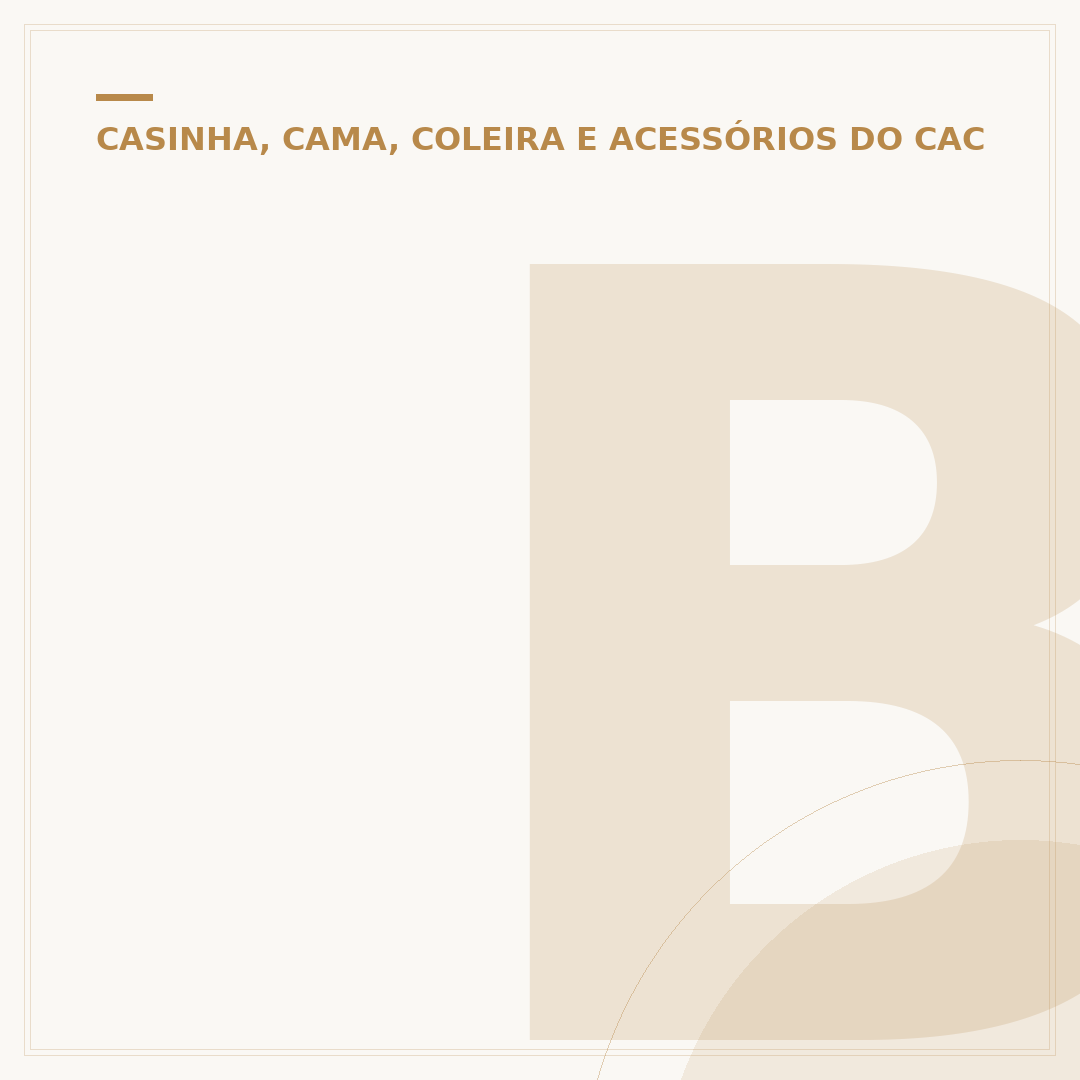 Brinquedo resistente para cachorro: durabilidade e diversão