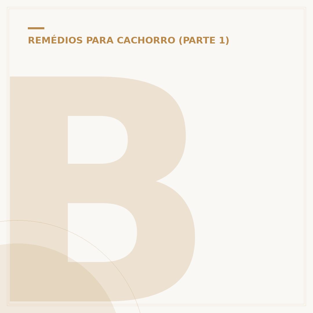 Bromoprida para cachorro: quando usar e cuidados