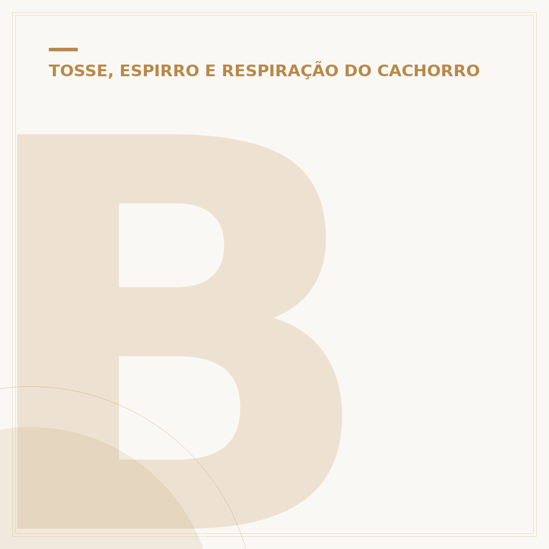 Bronquite em cachorro: causas, sintomas e tratamentos