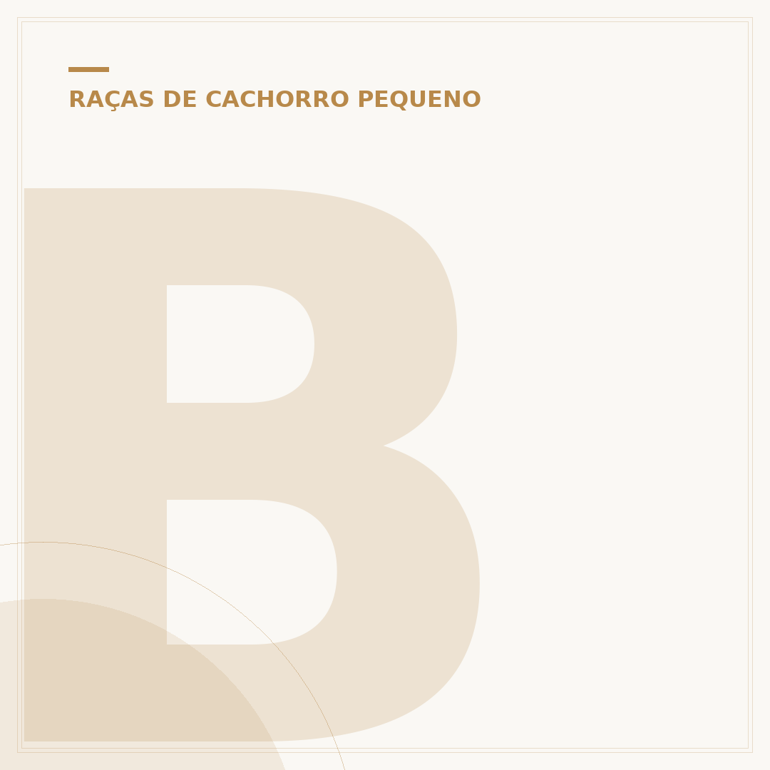 Bulldog Francês: características, cuidados e temperamento