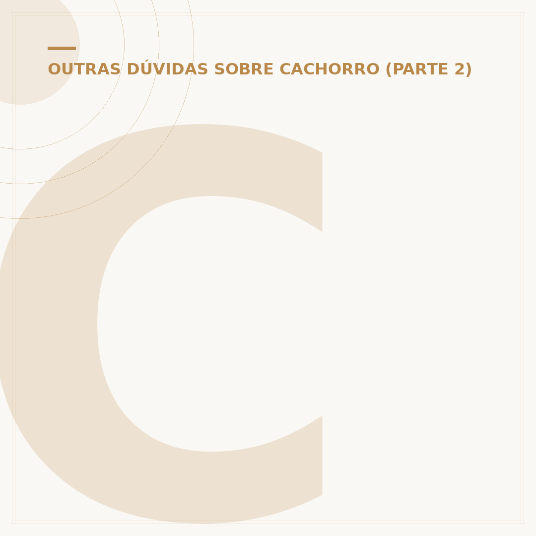 Cabeça do cachorro: anatomia, saúde e raças