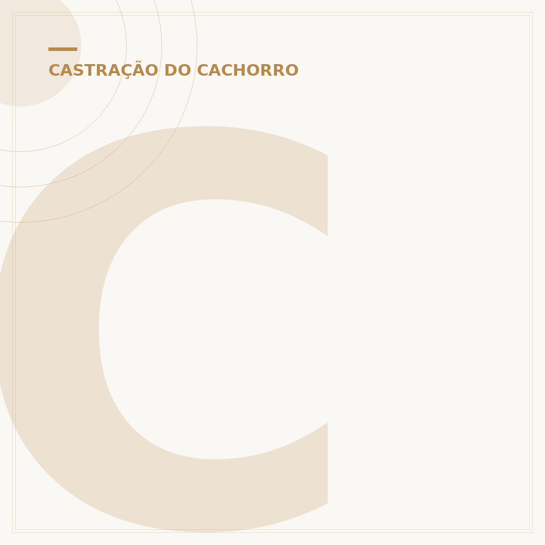 Cachorra castrada entra no cio?