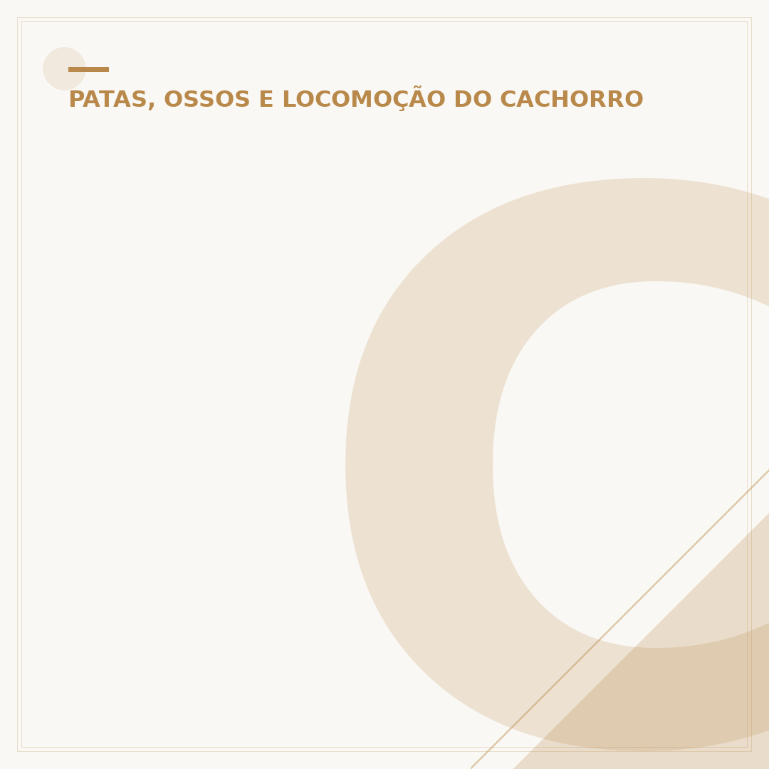 Cachorro andando: entenda o comportamento e saúde