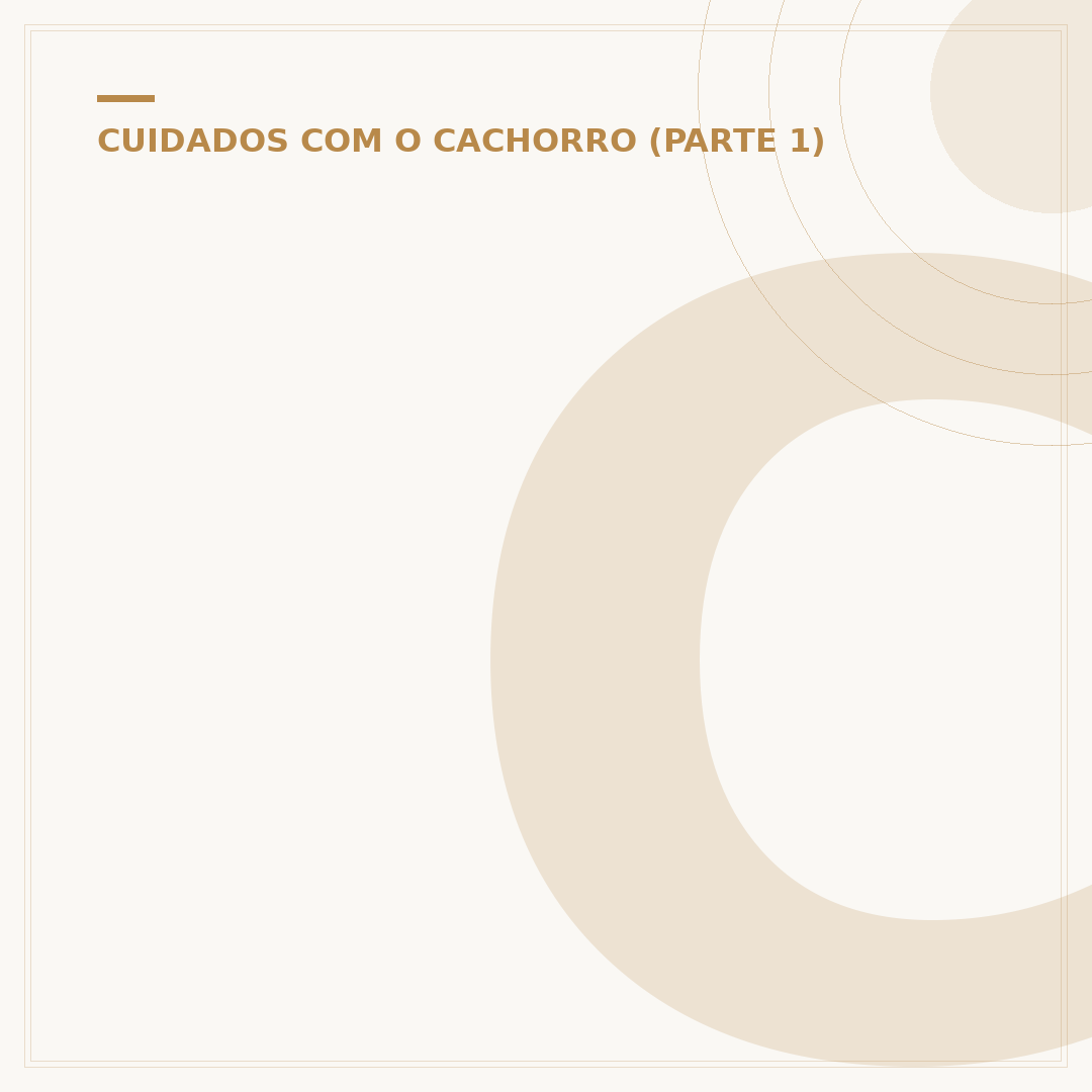 Cachorro branco grande