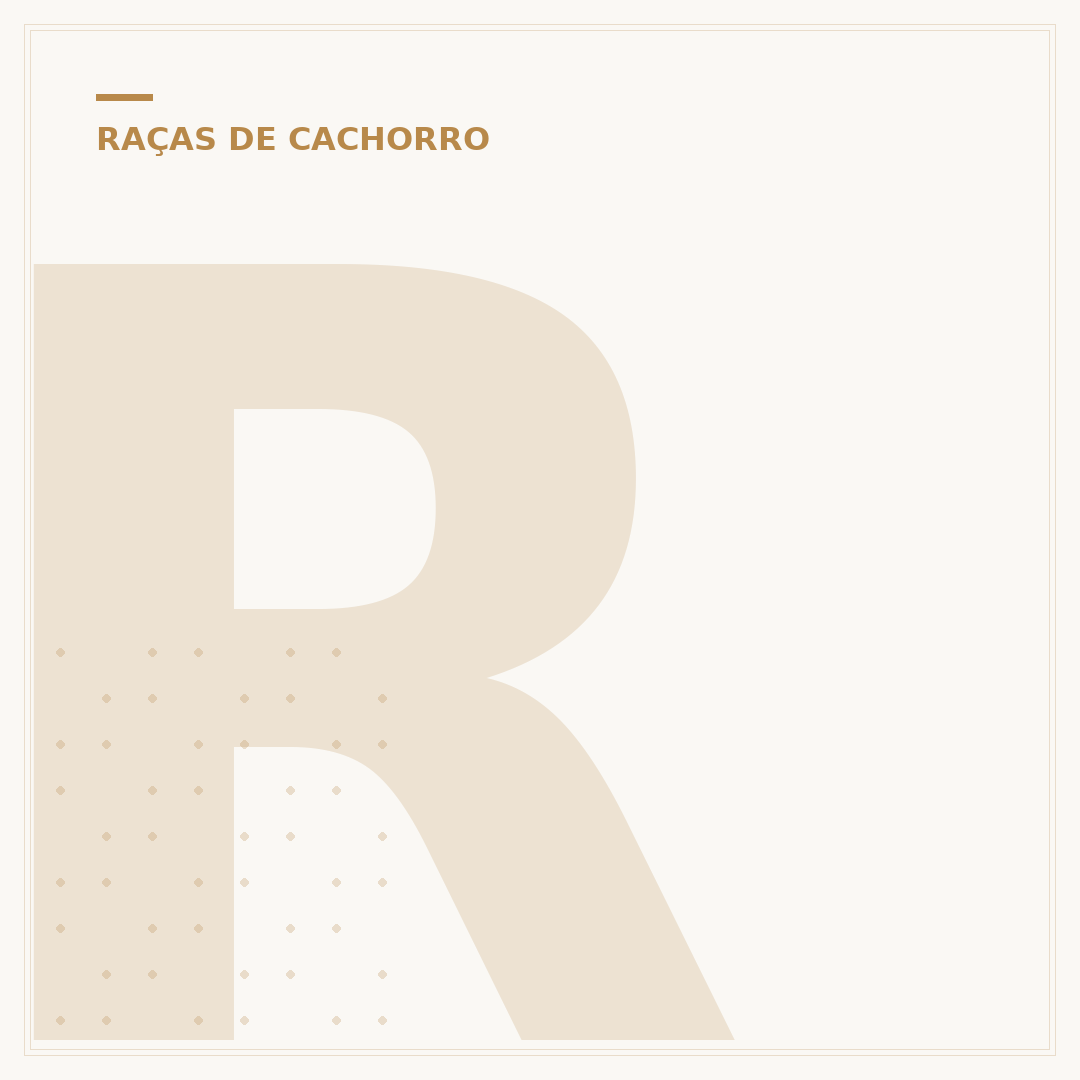 Raças de cachorro branco peludo: conheça as mais adoráveis