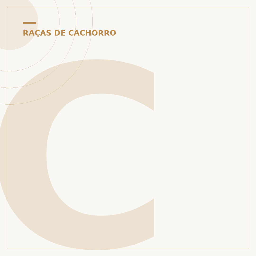Cachorro branco pequeno: raças que encantam e se adaptam