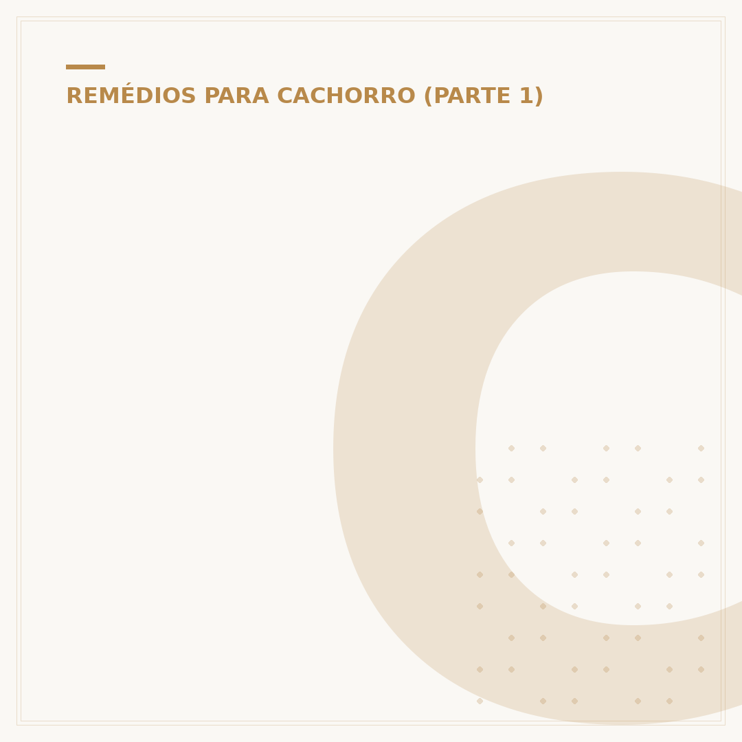 Cachorro com carrapato: o que fazer para remover e prevenir