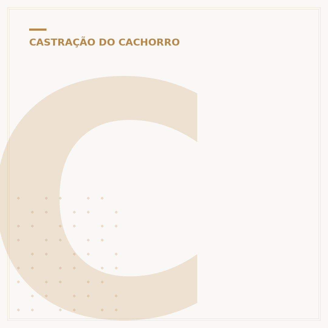 Cachorro castrado antes e depois: o que muda e como cuidar?