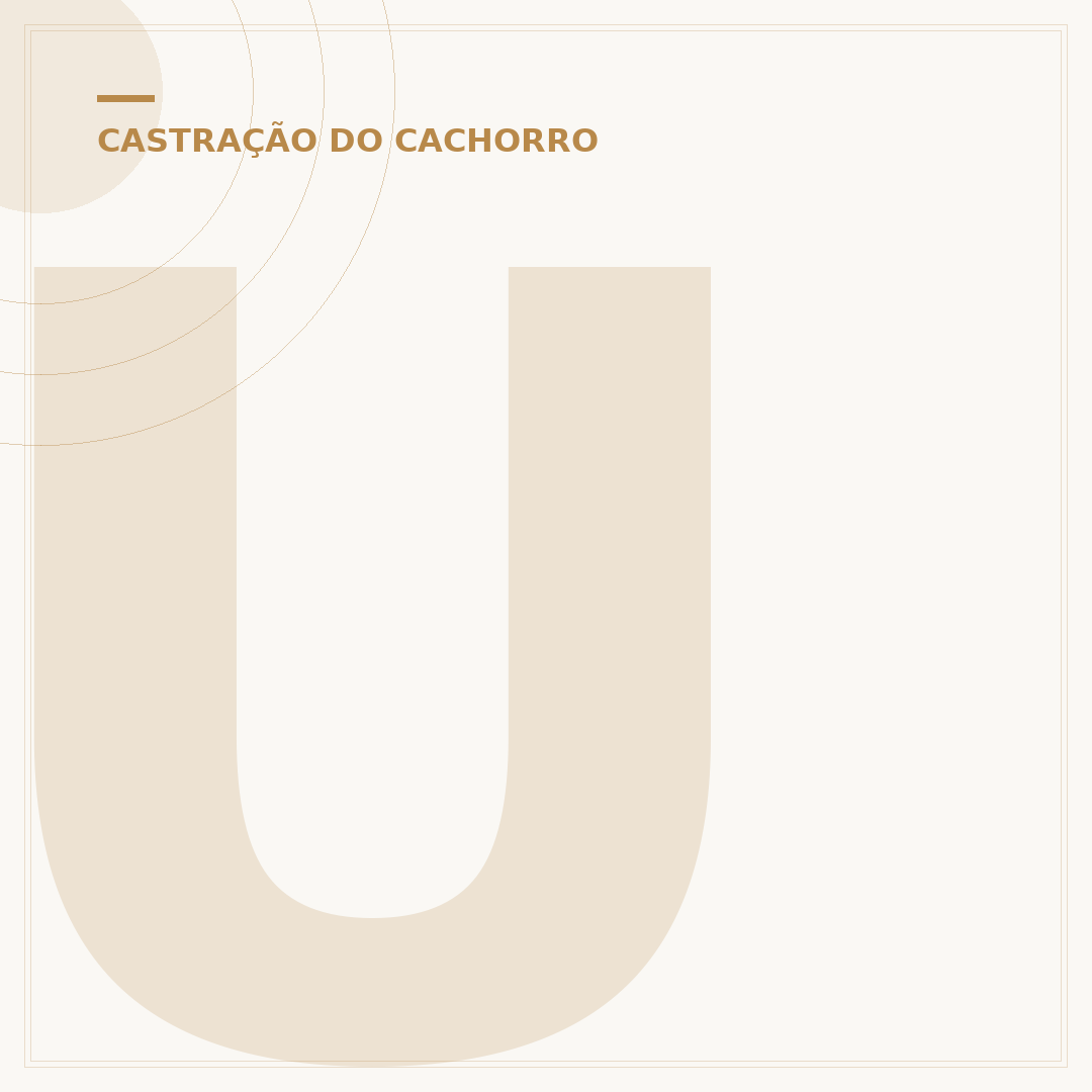 Um cachorro castrado pode engravidar uma cadela?