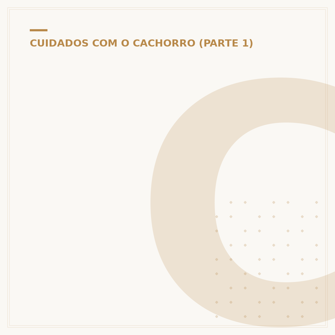 Cachorro cinza grande: raças, cuidados e curiosidades