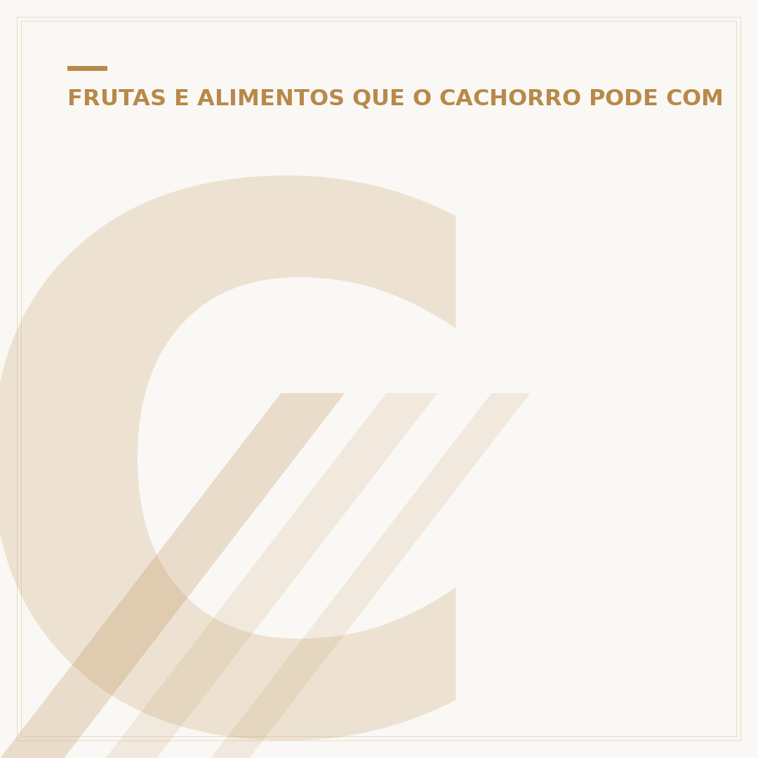 Cachorro pode comer brócolis?