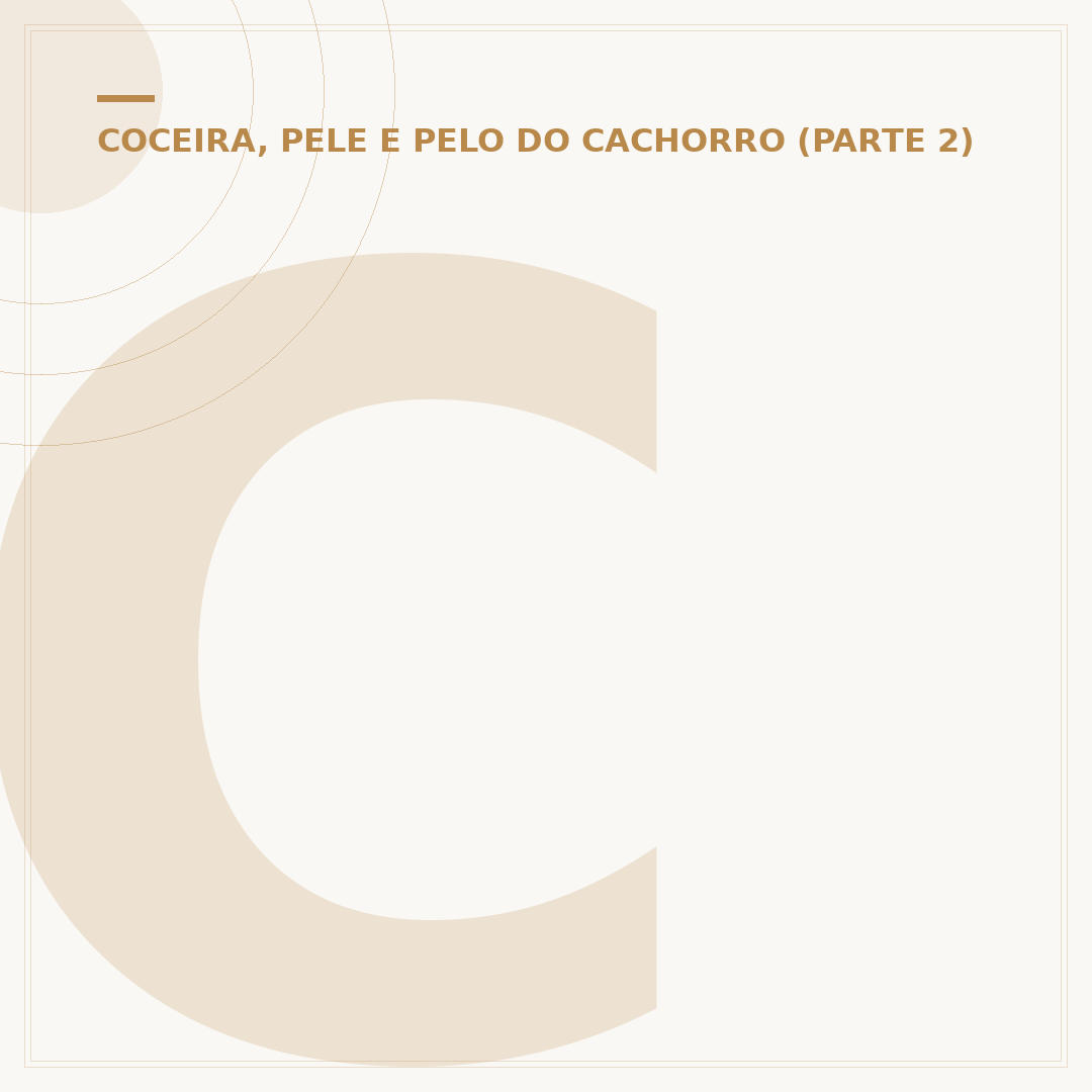 Cachorro pode comer cereja sem caroço? Entenda os riscos