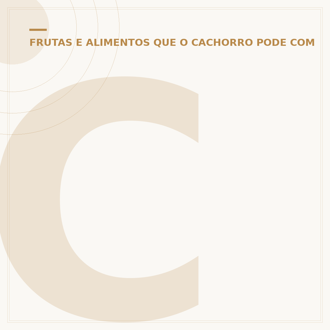 Cachorro pode comer molho de tomate? O que saber