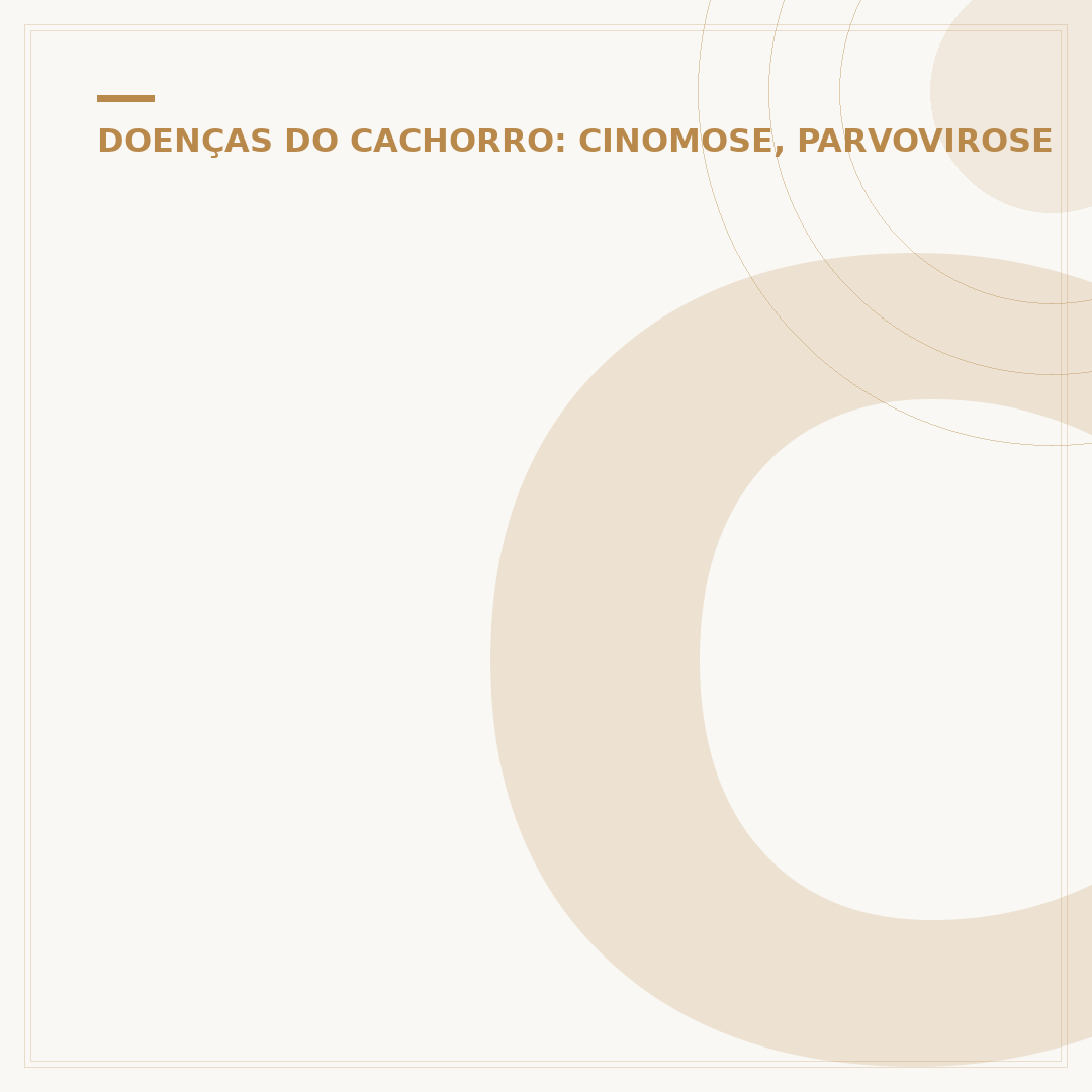 Como o cachorro contrai raiva: transmissão e prevenção