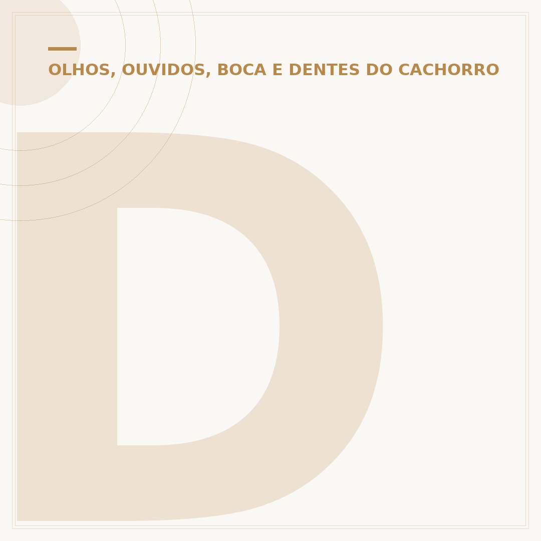 Dente do cachorro caindo