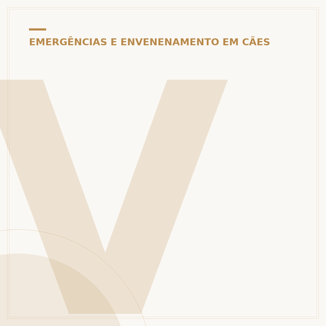 Veneno para matar cachorro