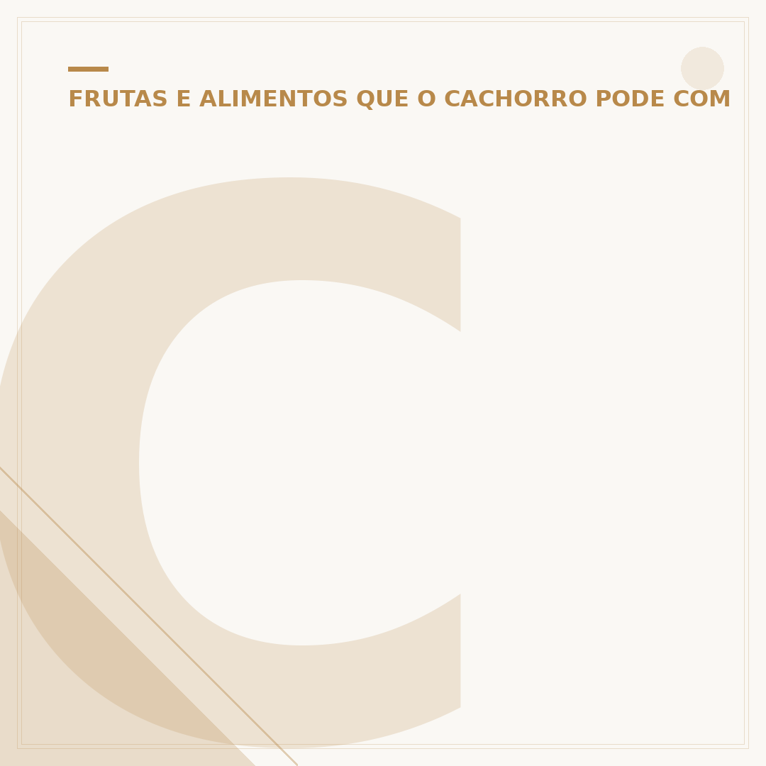 Cachorro filhote salsicha: cuidados e desafios da raça