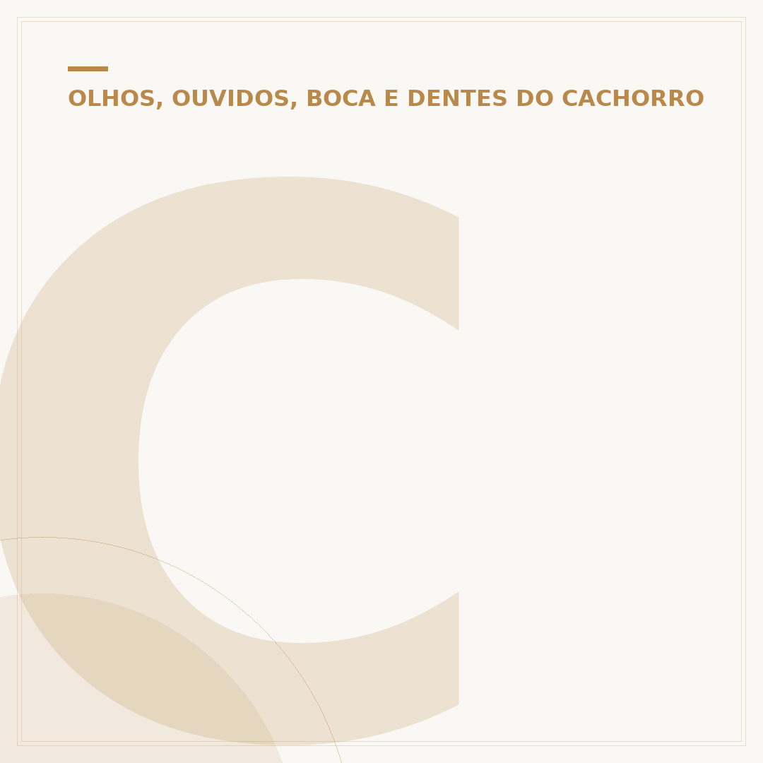 Cachorro com focinho longo: raças, cuidados e saúde