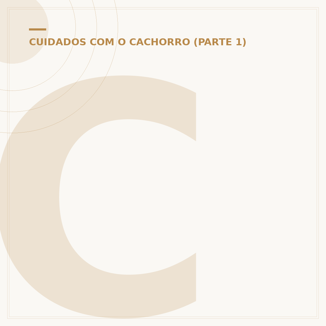 Cachorro grande e peludo: cuidados e considerações amplas