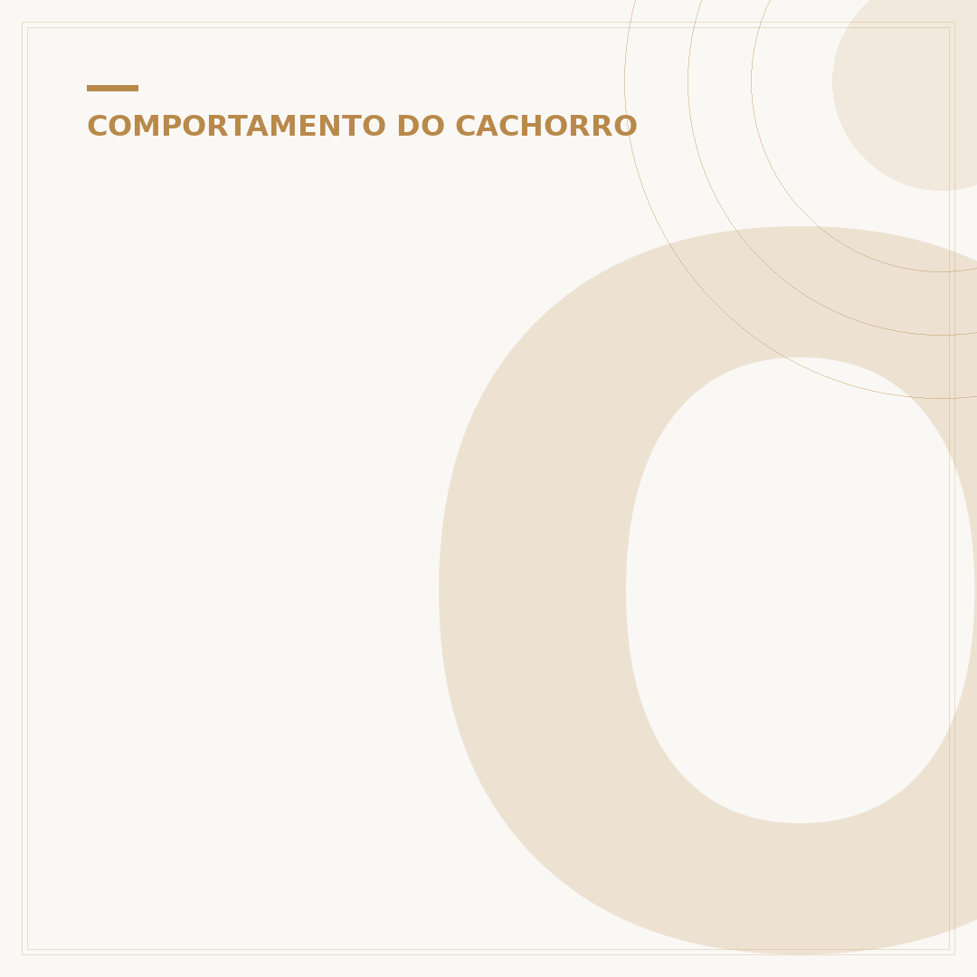 O que significa quando o cachorro te lambe muito?