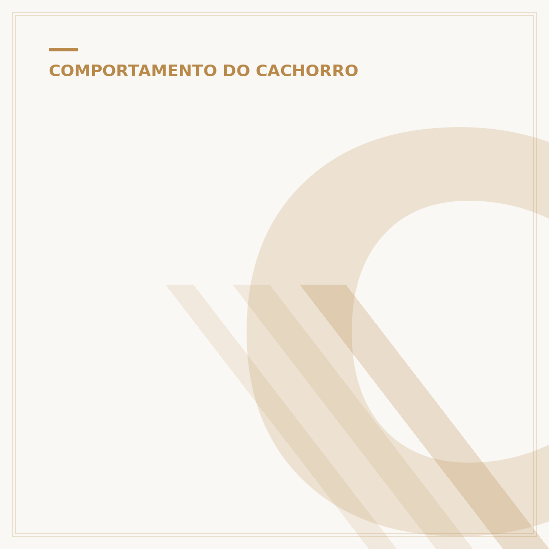 Cachorro lambendo tudo: causas, riscos e o que fazer