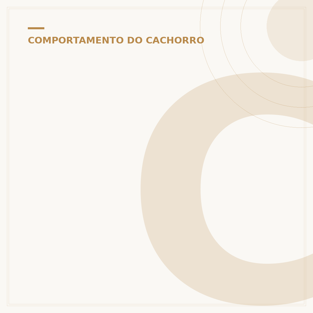 Cachorro mordendo o próprio rabo: causas e como intervir