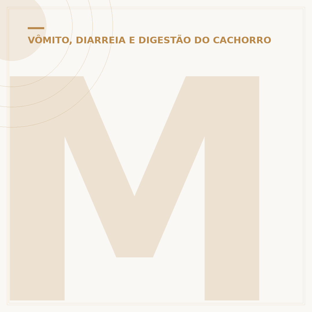 Meu cachorro não quer comer ração: causas e soluções