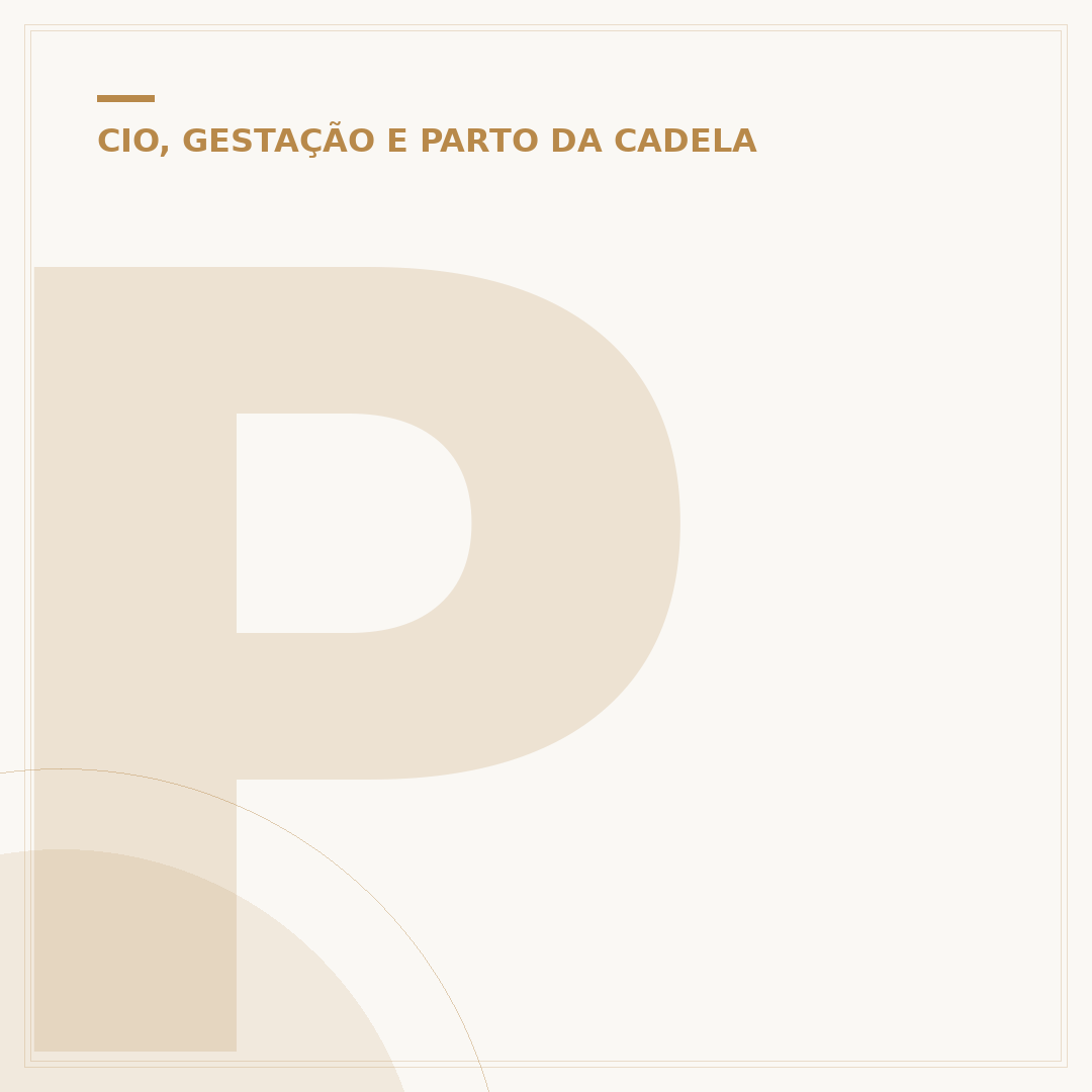 Pode dar banho em cachorro no cio?