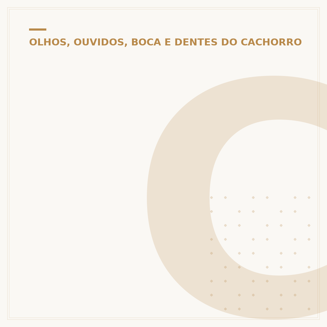 Cachorro do olho azul: causas e cuidados para a saúde ocular