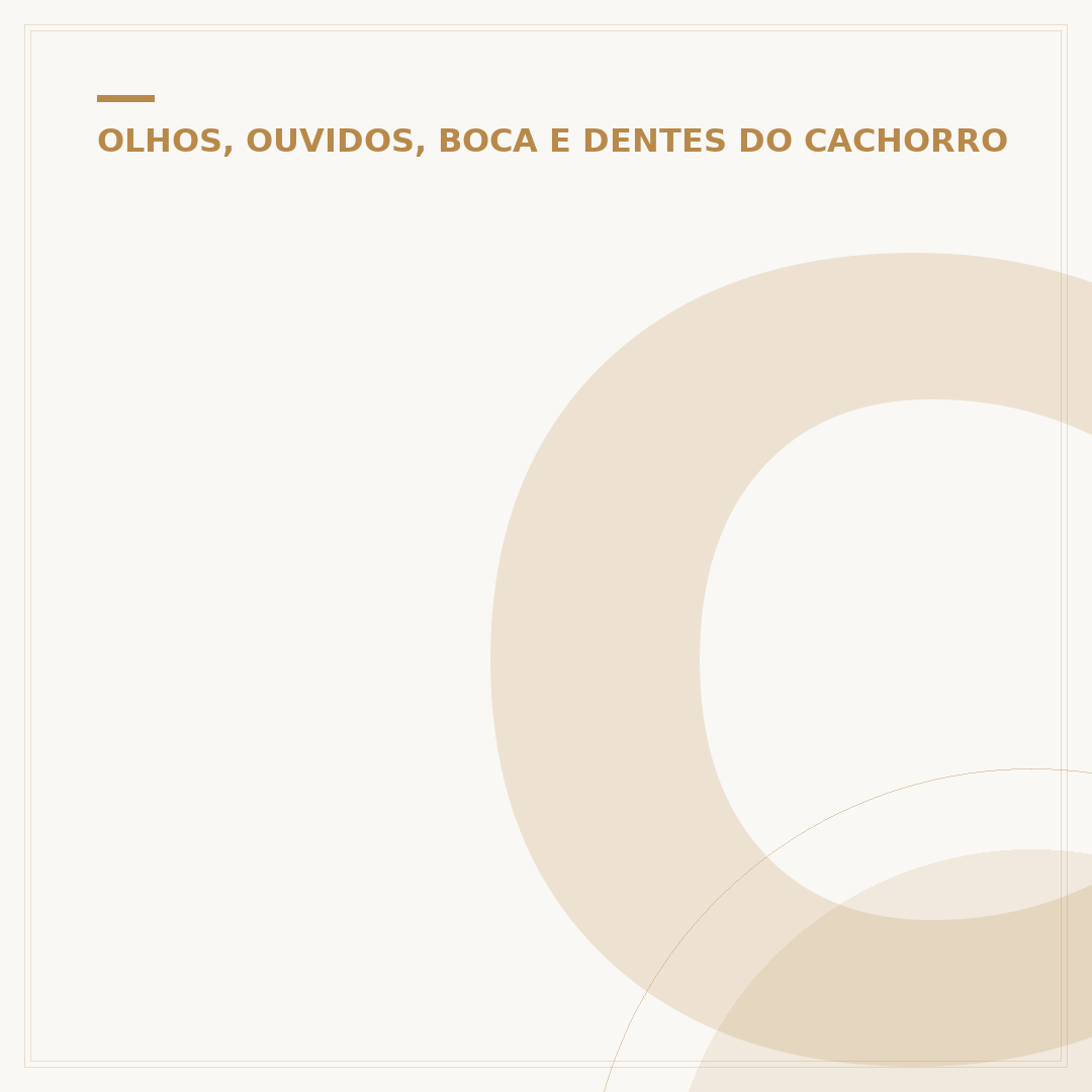 Cachorro com olho irritado: causas, sintomas e cuidados