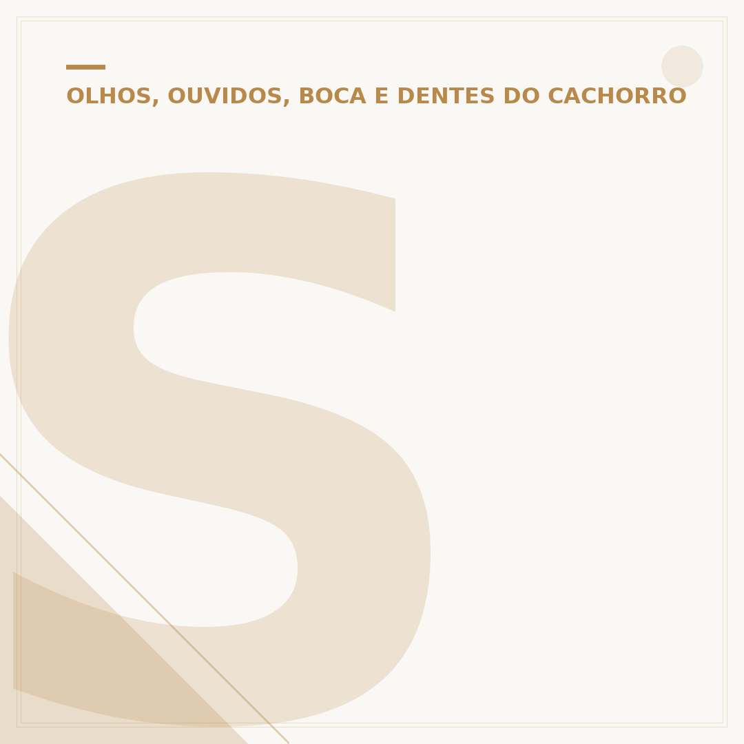 Sobre cachorros com orelhas