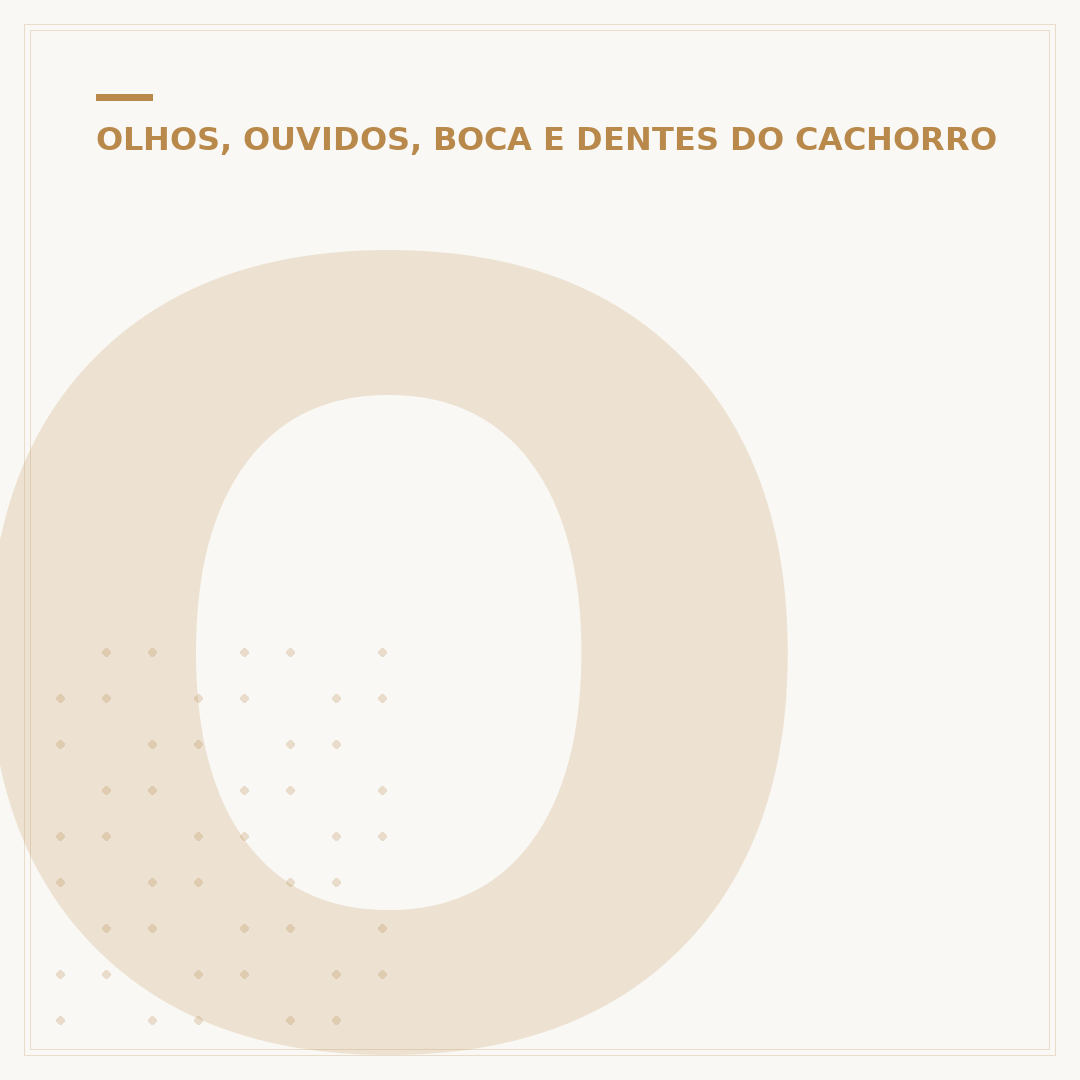 O q fizeram com o cachorro orelha: entenda o caso