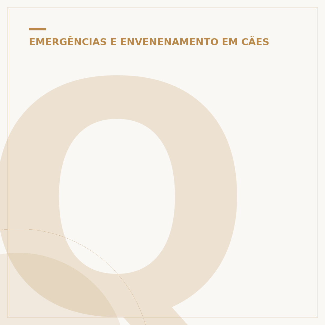 Que dia o cachorro Orelha morreu?