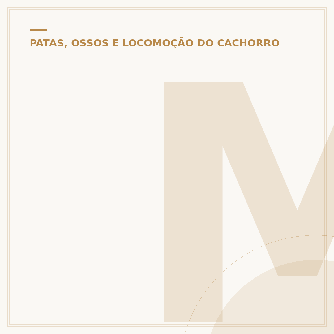 Meu cachorro quebrou a pata e não tenho dinheiro