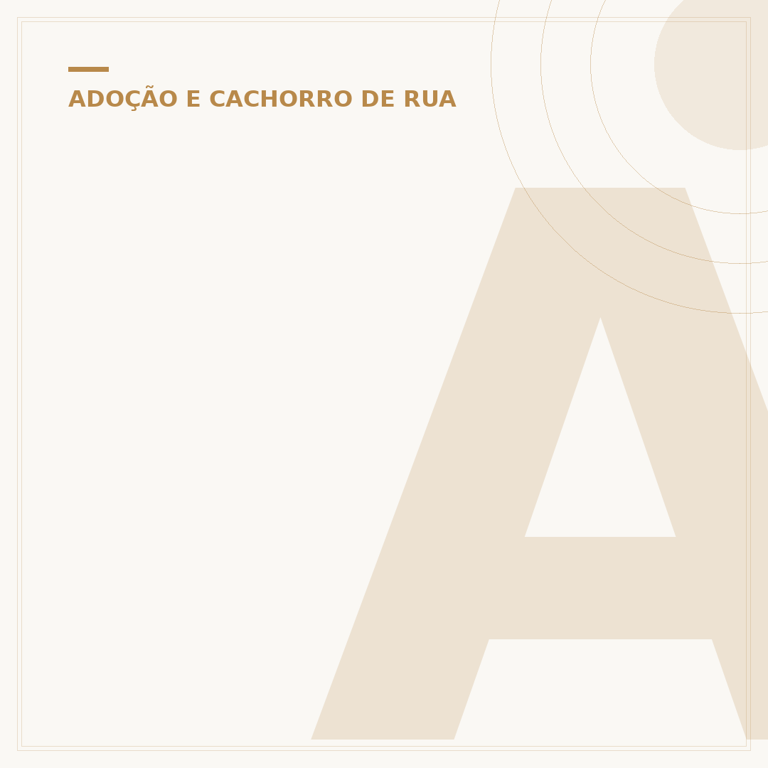 Adoção de cachorro pequeno