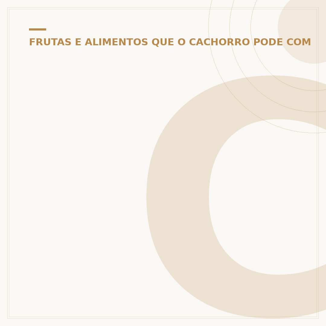 Cachorro pode comer cenoura? Benefícios e cuidados