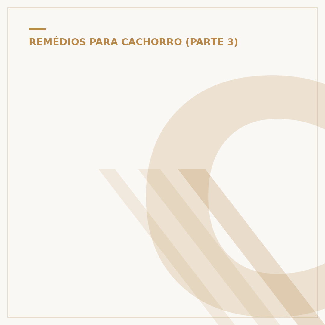 Cachorro resfriado: o que fazer para aliviar os sintomas