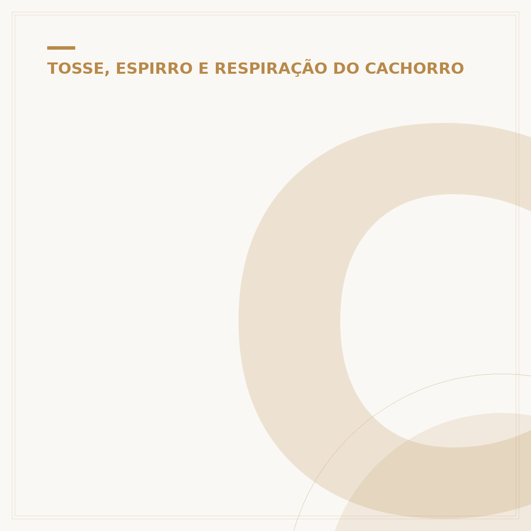 Cachorro roncando dormindo: causas e quando se preocupar
