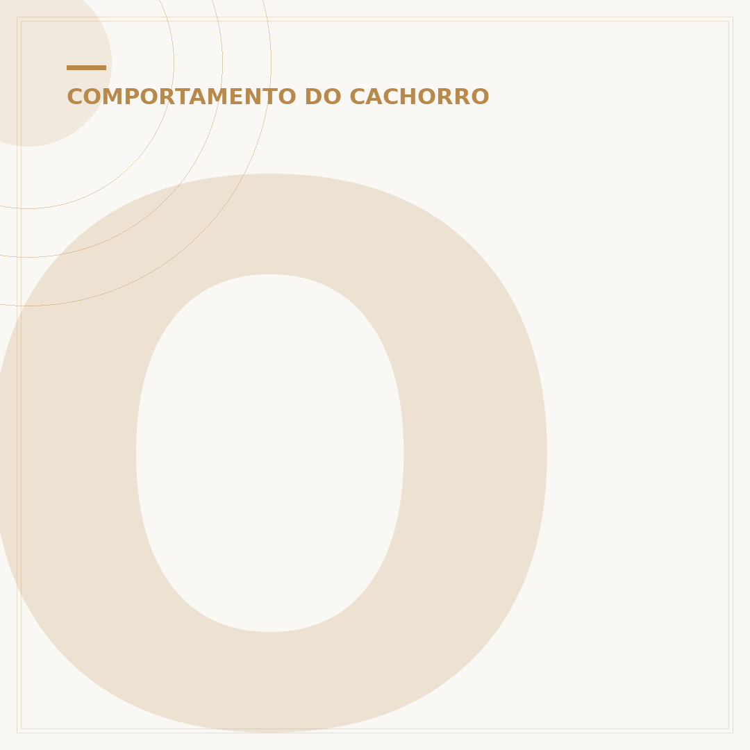O cachorro sabe quando vai morrer?