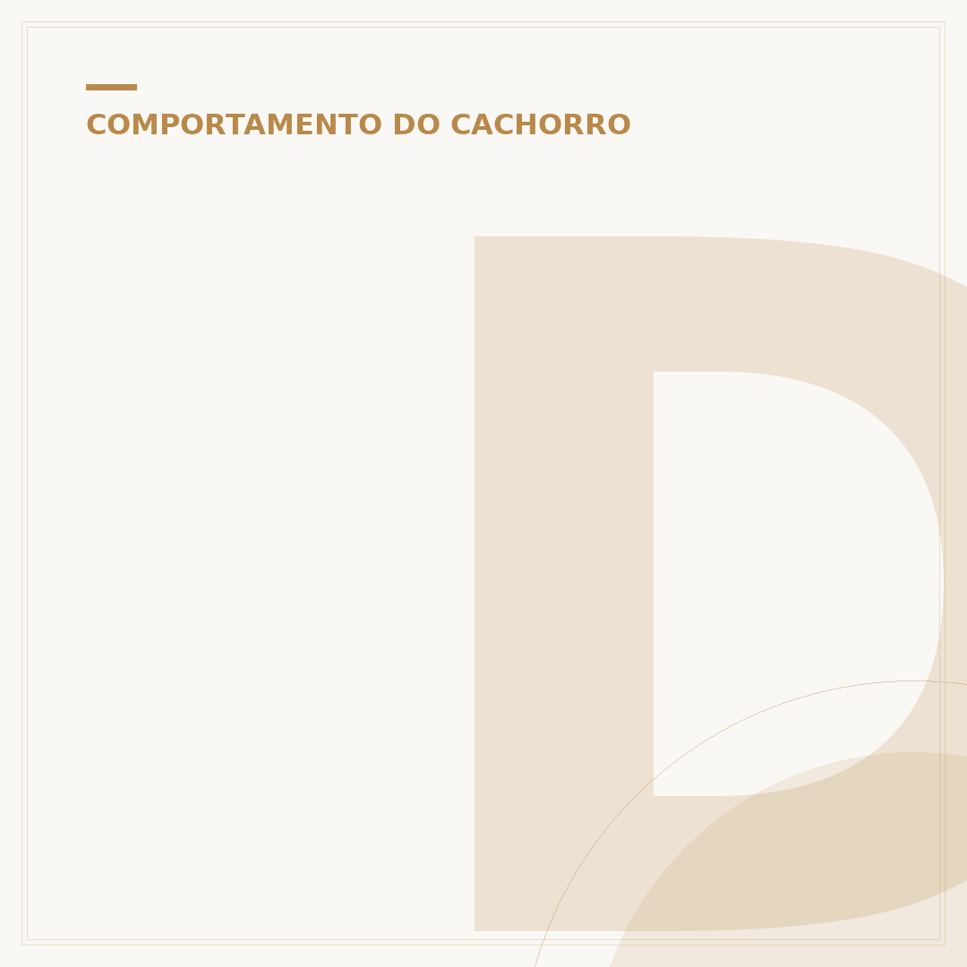 Deixar o cachorro sozinho para trabalhar