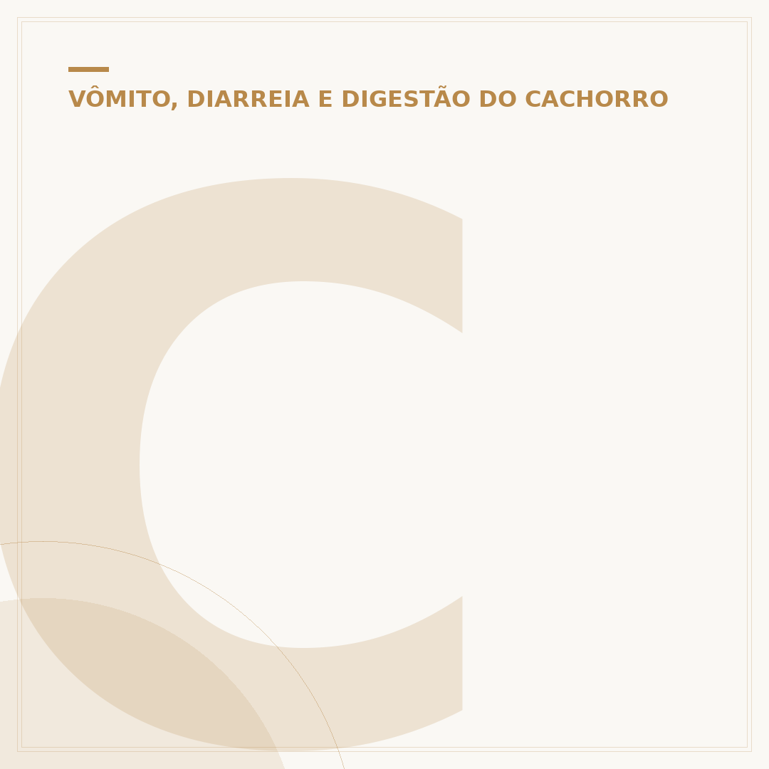 Cachorro vomitando água: causas, riscos e o que fazer