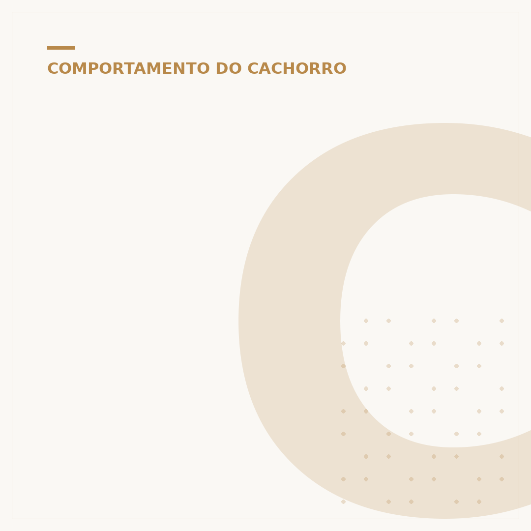 Cachorros gostam de beijo? Entenda o que eles pensam