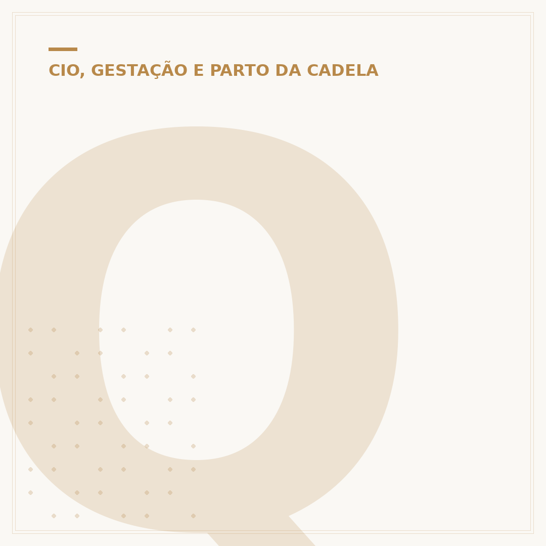 Quanto tempo uma cadela demora para parir todos os filhotes?