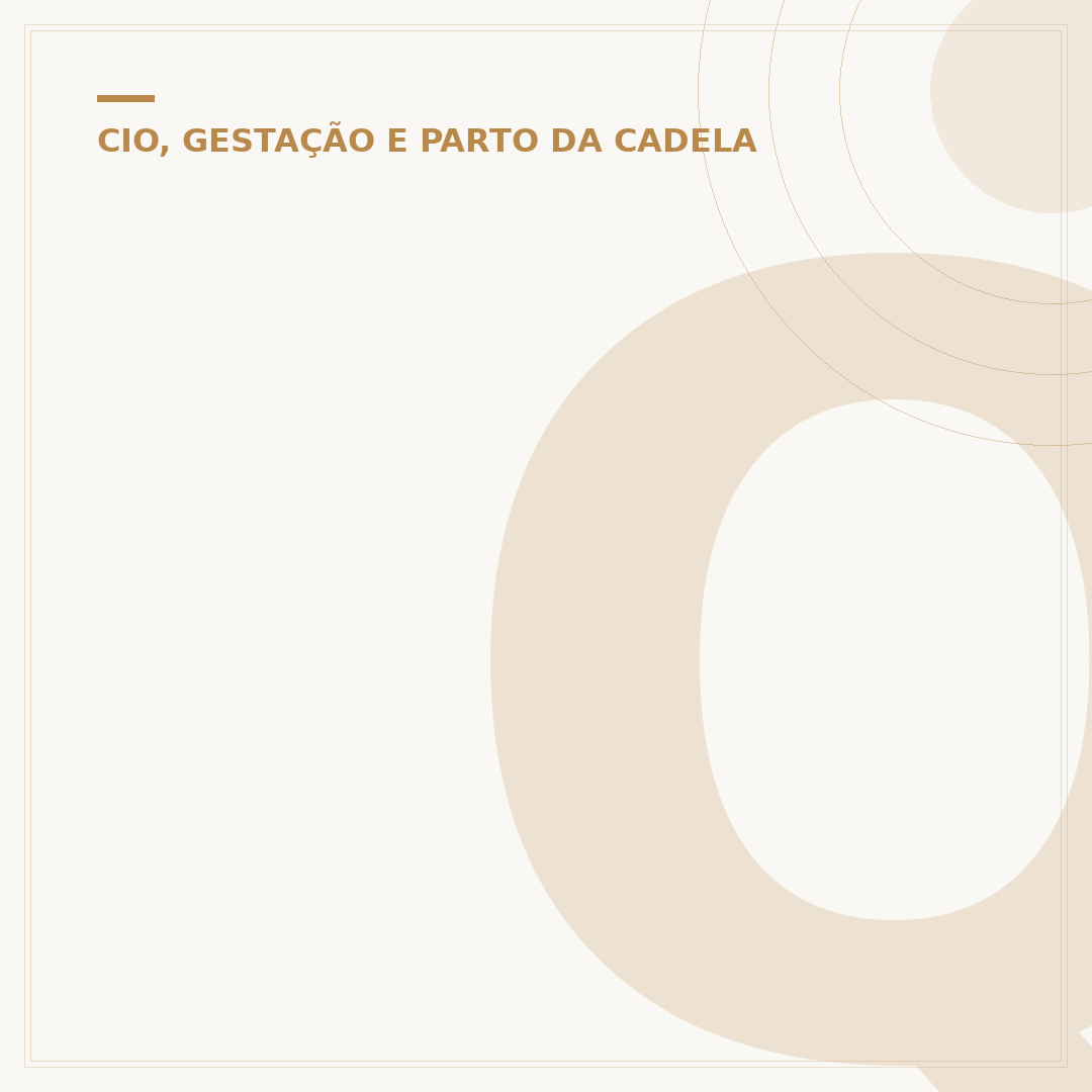 Quantos dias a cadela sangra no cio?