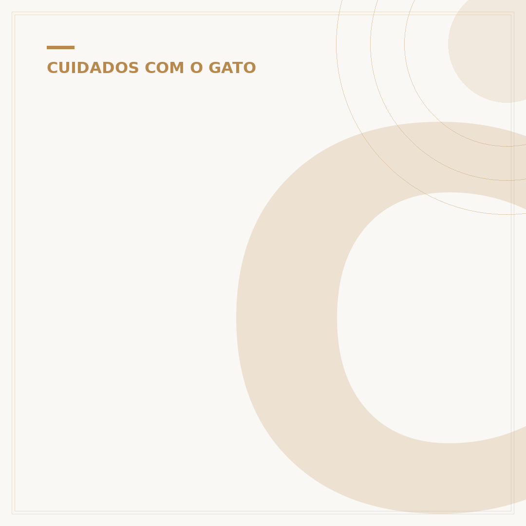 Características do gato
