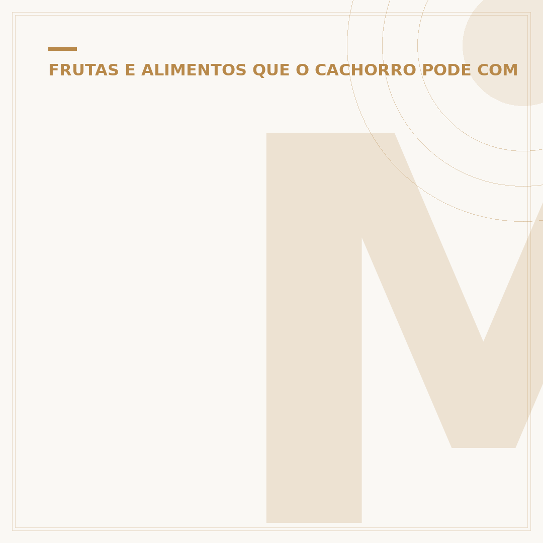 Melhores carnes para cachorro