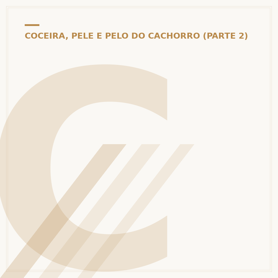 Caroço na perna do cachorro: causas, riscos e o que fazer