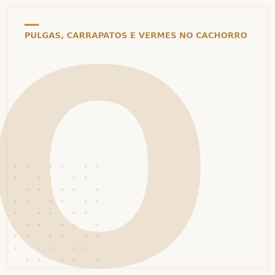 O que é bom para acabar com carrapato de cachorro