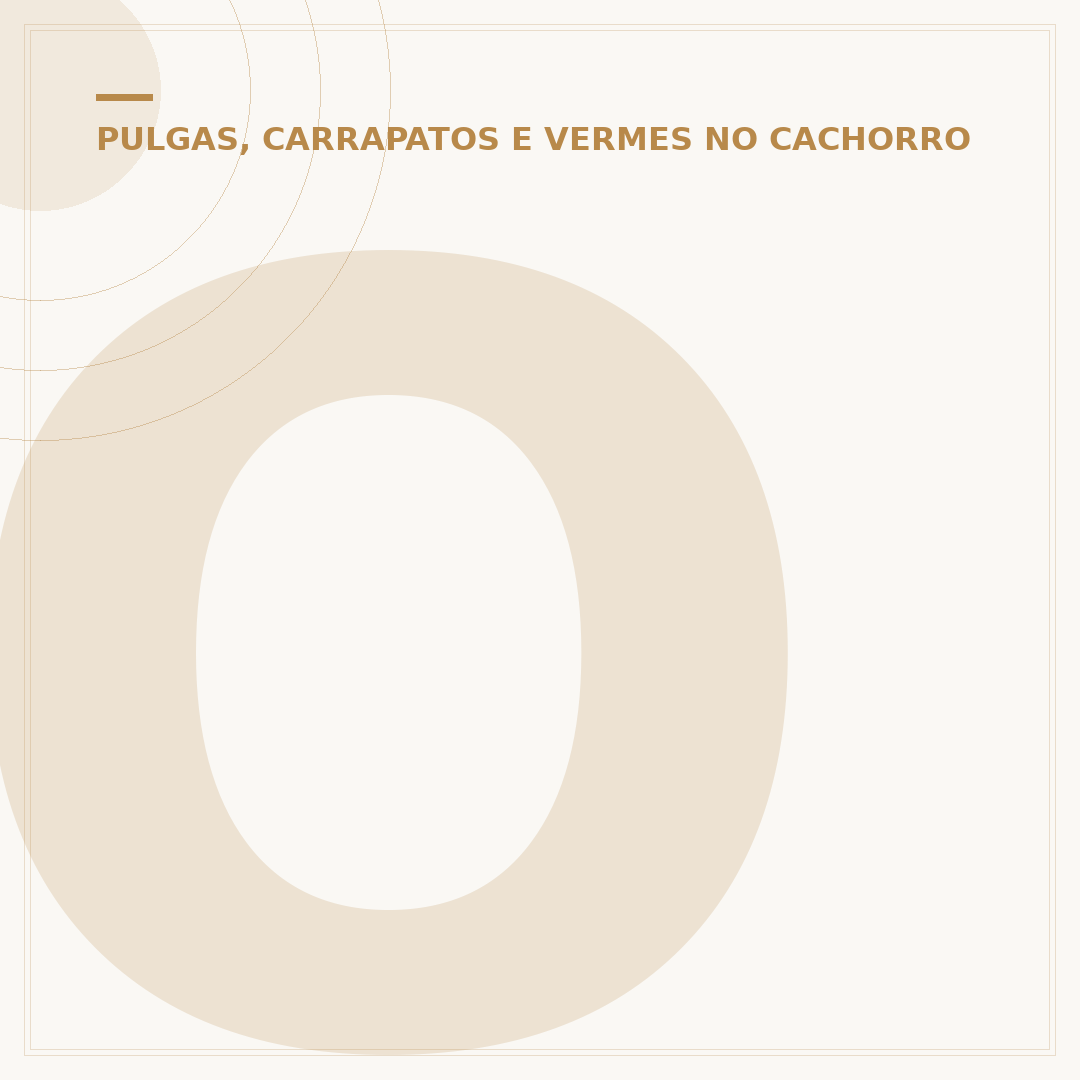 O que o carrapato pode causar no cachorro