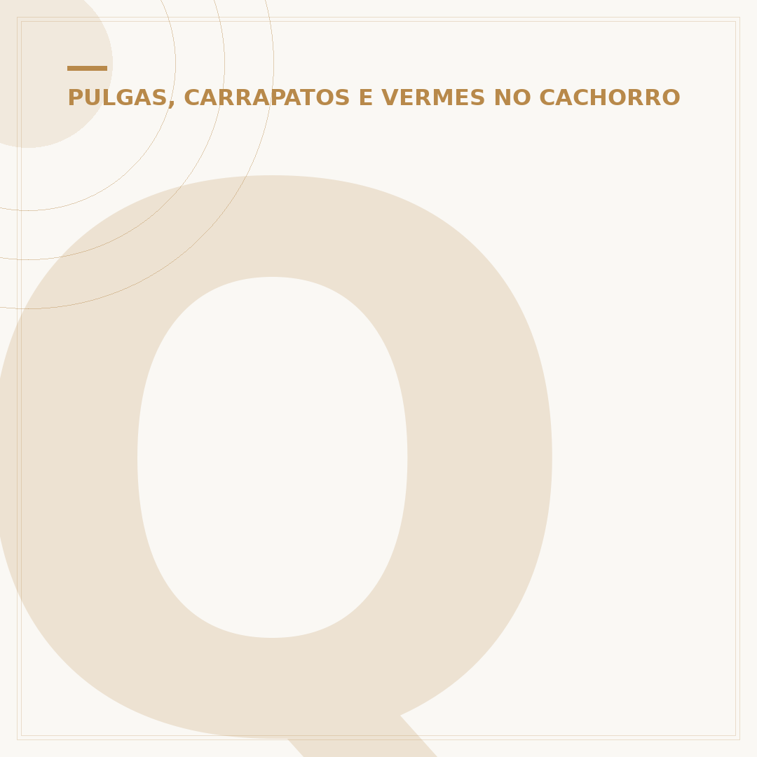 Qual carrapato transmite a doença do carrapato?